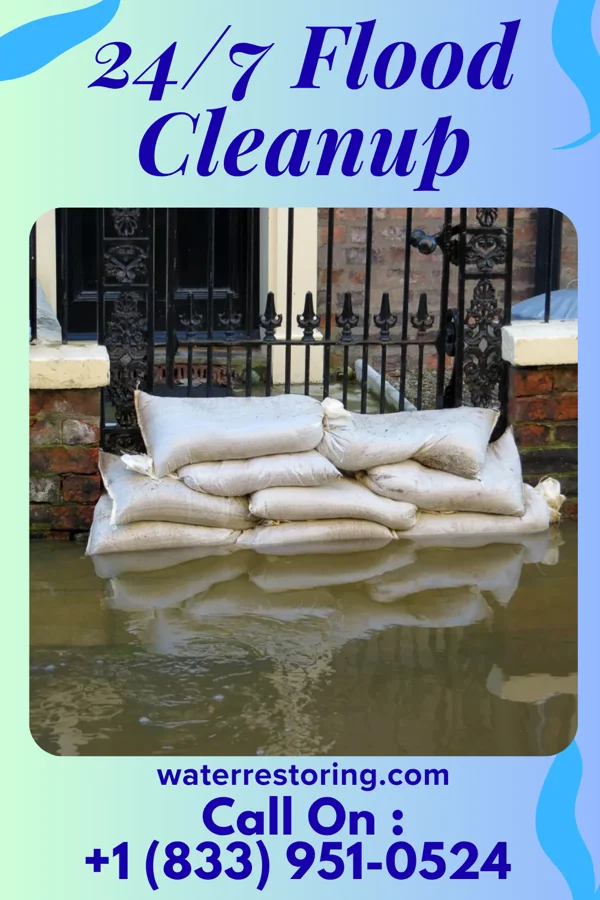 24/7 Flood Cleanup in Sawyerville, IL