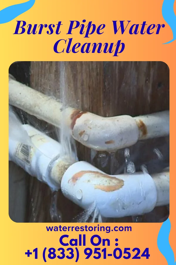 Burst Pipe Water Cleanup in Sawyerville, IL