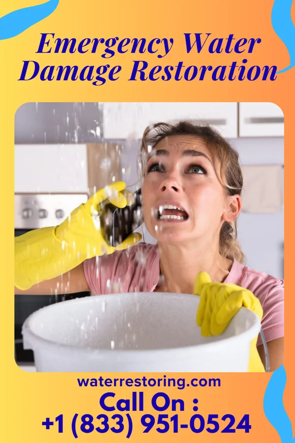 Emergency Water Damage Restoration in Sawyerville, IL