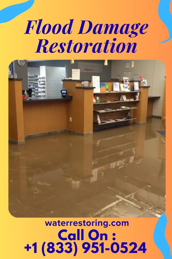 Flood Damage Restoration in Sawyerville, IL