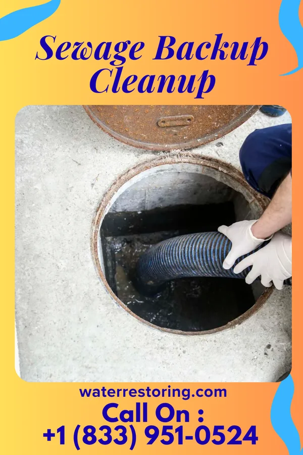 Sewage Backup Cleanup in Sawyerville, IL
