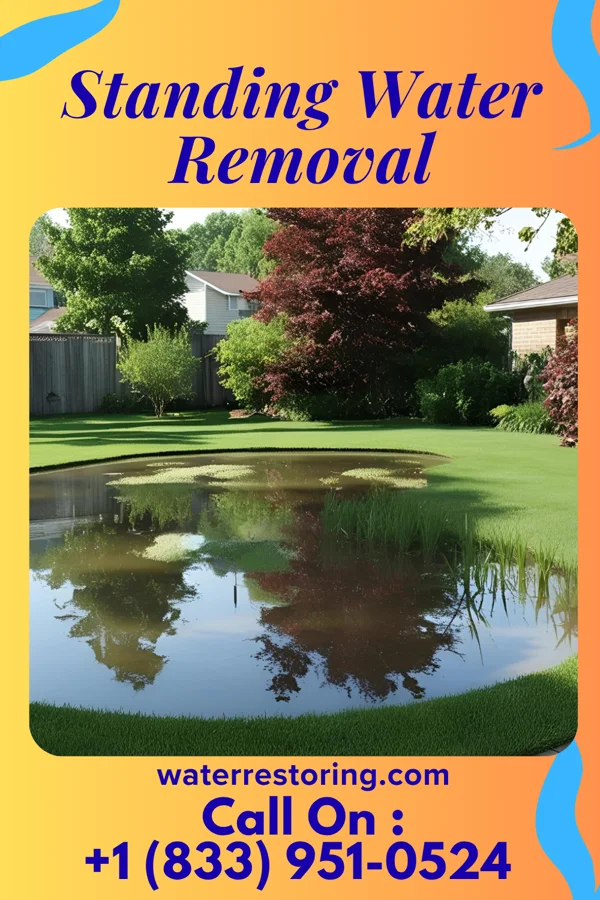 Standing Water Removal in Sawyerville, IL